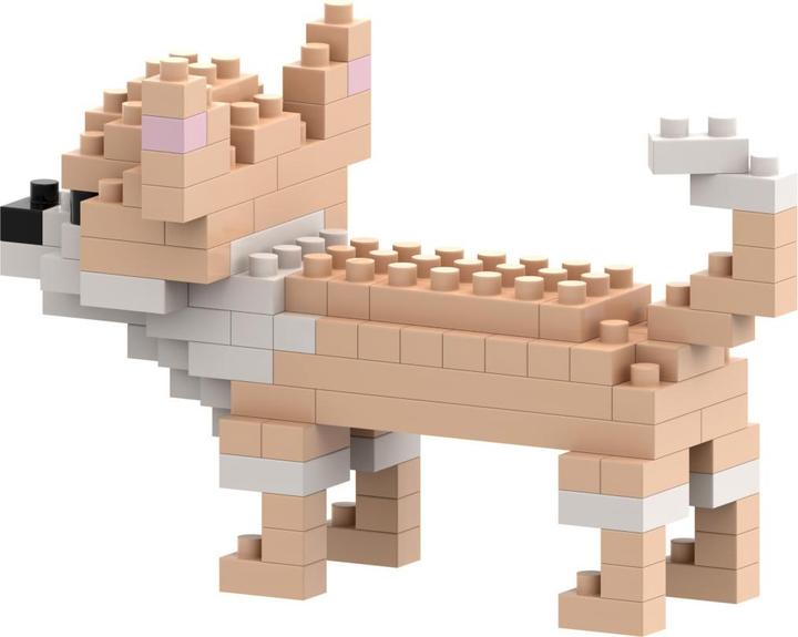 Actual product image Brixies Chihuahua