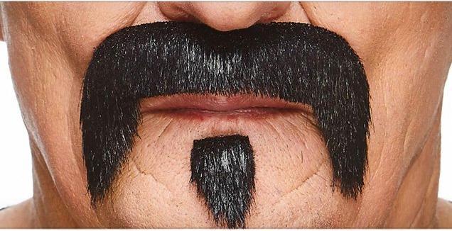 Actual product image Metamorph The Zappa Bart