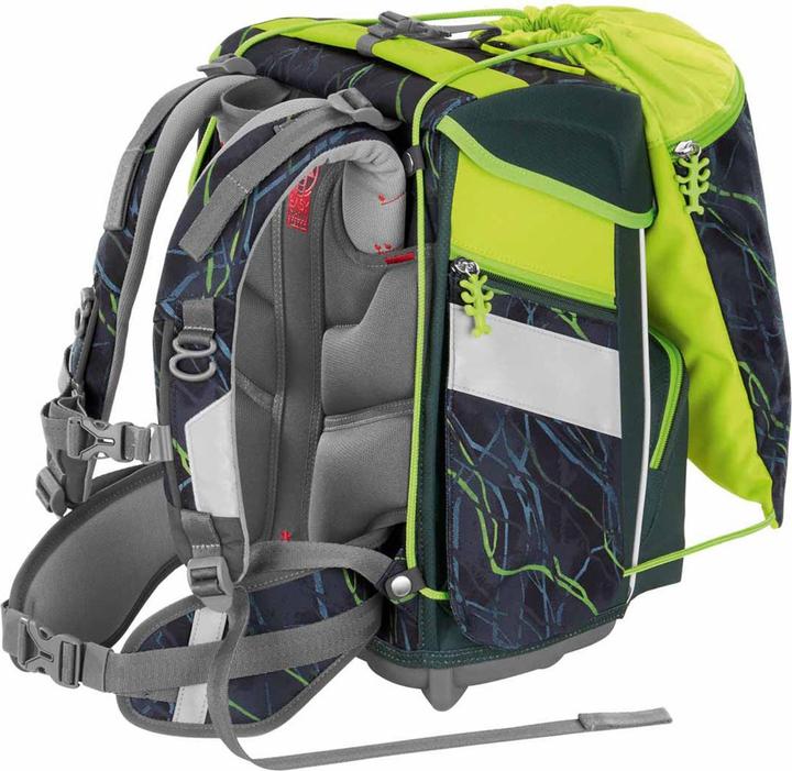 Actual product image Step by Step Danger Cat Chiko (20 l)