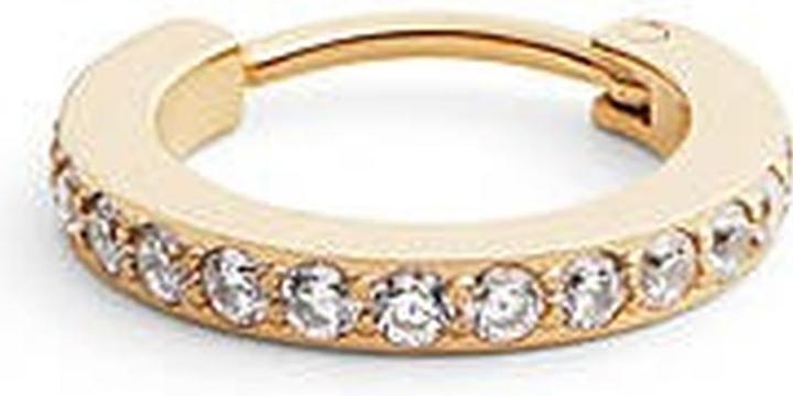Immagine prodotto Daniel Wellington - Sparkling single earring with crystals DW00400871
