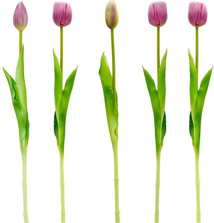Produktbild Saska Garden Bukiet 5 Tulipanów Fioletowych 39cm Jak żywych Dekoracja Wiosenna