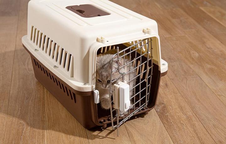 Produktbild SwitchBot Tür-/Fensterkontakt-Sensor