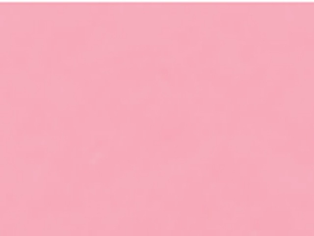 Immagine prodotto Talens Vernice opaca Ecoline (Rosso pastello, 30 ml)