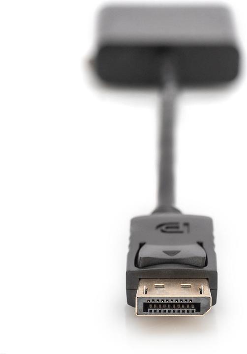 Actual product image Digitus DisplayPort — DVI (DVI, 15 cm)