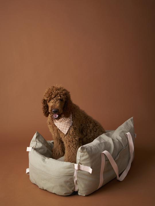 Produktbild Vertbaudet 2-in-1 Auto-Transporttasche für Hunde (Hund, Komplett zu öffnen)