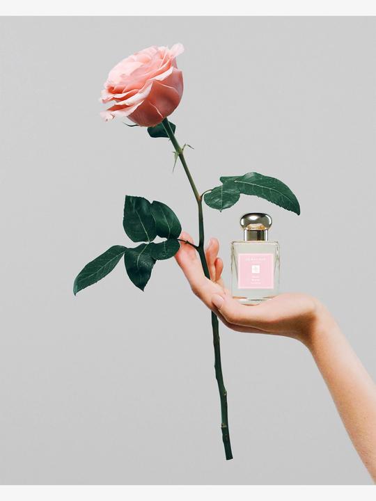 Actual product image Jo Malone Rose Blush Cologne (Eau de cologne, 50 ml)