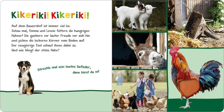 Immagine prodotto Hör mal rein, wer kann das sein? – Auf dem Bauernhof (Tedesco)