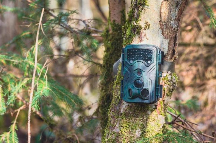 Produktbild Braun Photo Scouting Cam Black1300 Wifi