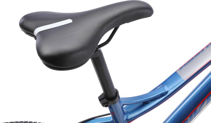 Actual product image Bikestar Mountain bike (24")