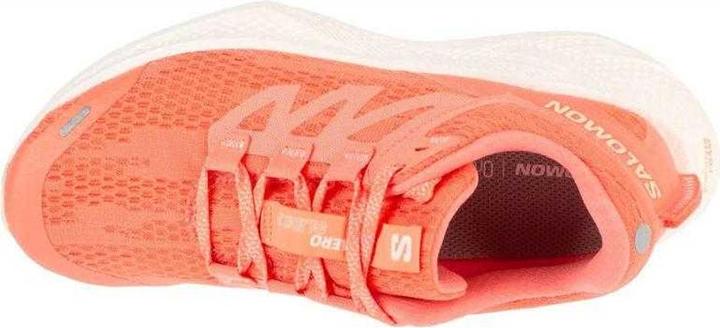 Produktbild Salomon Aero Glide 3 Sneaker (41)