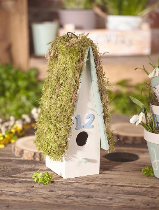 Immagine prodotto VBS Muschio per piastre, 50 g