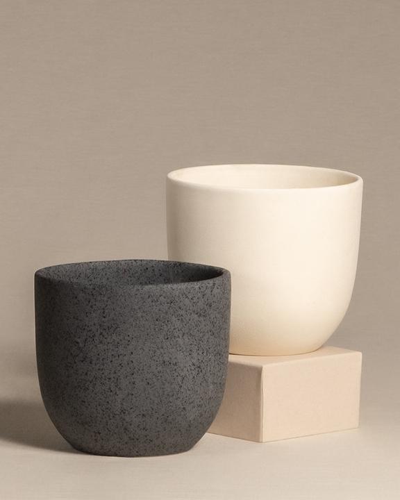 Produktbild feey Direito (15.50 x 14 cm)