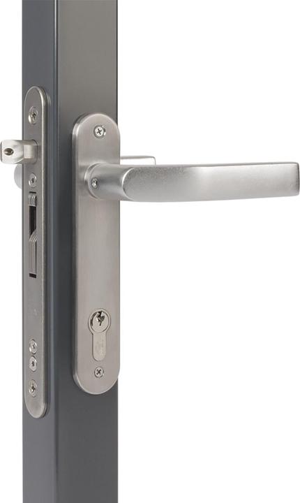 Locinox Rohrrahmenschloss Fiftylock mit Hakenriegel, PZ 92,DM 30 mm,Stulp rund,Edelstahl (Türgriff)