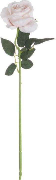 Immagine prodotto Hill Interiors Fiore artificiale Tea Rose