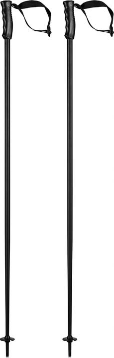 Immagine prodotto Head Testa del bastone da sci Multi 2024 (120 cm)