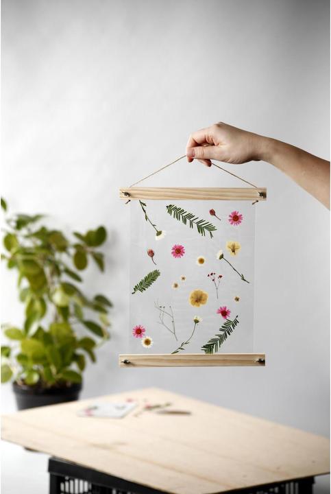 Immagine prodotto Creativ Company Fiori pressati (2 x 15 x 20 cm)