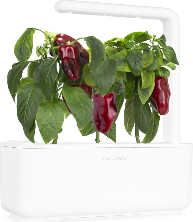 Immagine prodotto Click and Grow Ricarica Smart Garden Click & Grow Peperone Rosso 3 pezzi (Semi di verdura)