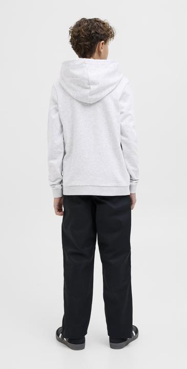 Image du produit Jack & Jones Jcologan Ss24 Print Sweat Hood Sn Jnr (140)