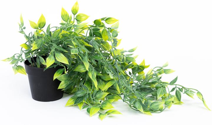 Immagine prodotto Domoletti Kunstpflanze (95 cm)