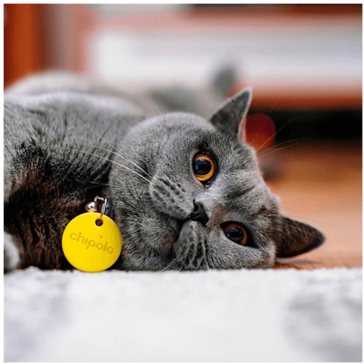 Produktbild Chipolo ONE 4er Bundle (Android, iOS)