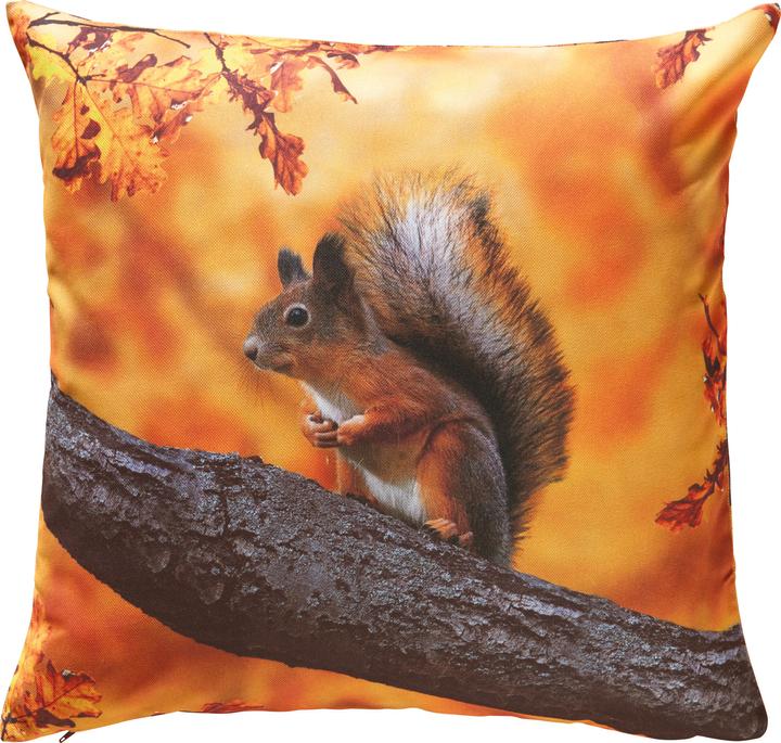 Produktbild Erwin Müller Kissenhülle "Eichhörnchen" (50 x 50 cm)