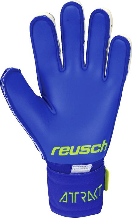 Produktbild Reusch Torwarthandschuh Attrakt Duo (8.5)