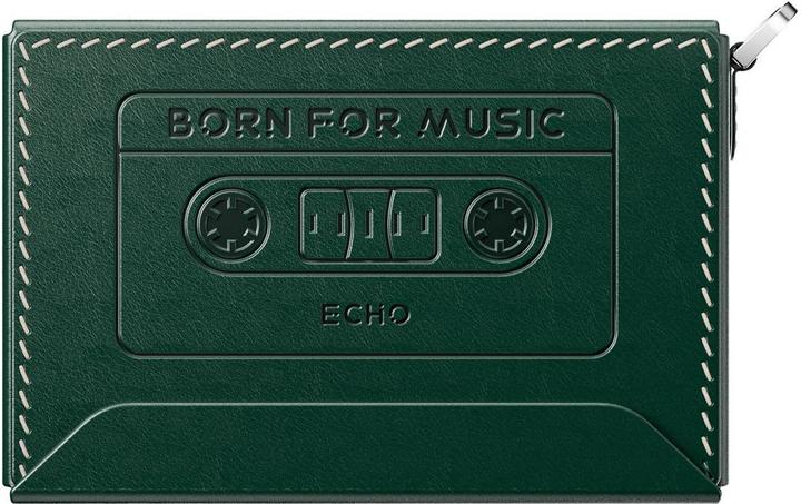 Immagine prodotto FiiO Nest ECHO