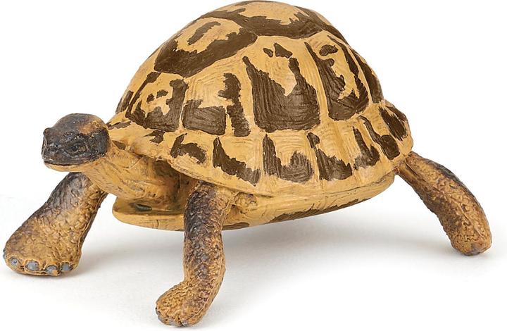 Actual product image Papo Hermann's turtle