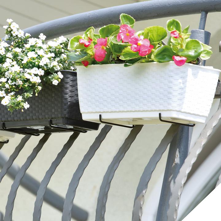 Immagine prodotto Deuba Box balcone (49 cm)