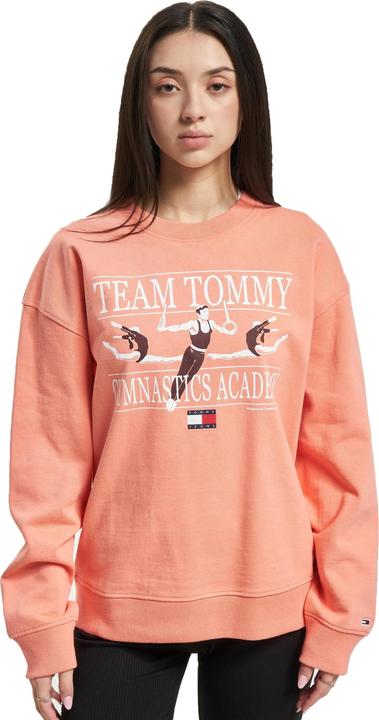 Actual product image Tommy Hilfiger Tommy Jeans Rlxd Gym Sweater - 88837 (S)