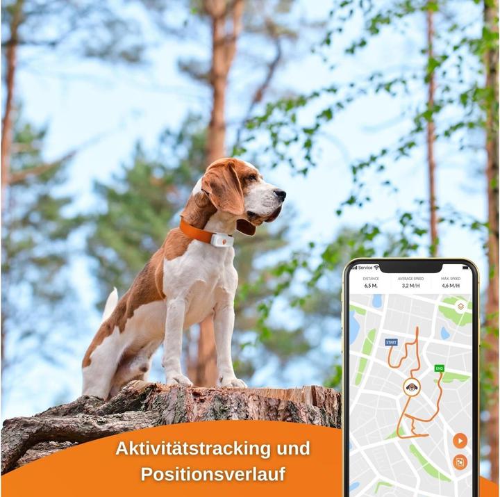 Immagine prodotto Weenect Localizzatore GPS (Android, Apple)