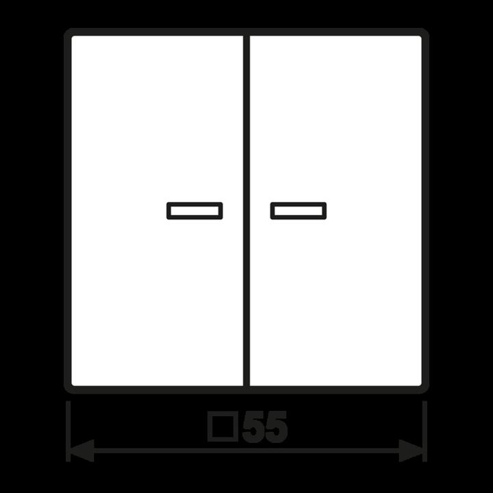 Actual product image JUNG Rocker 2t switch AS aws glz Light outlet AS102KO5WW