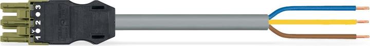 Actual product image Wago confect. Connection cable (2 m)