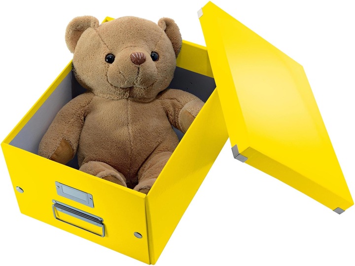 Image du produit Leitz Boîte de stockage WOW Click & Store (A4)