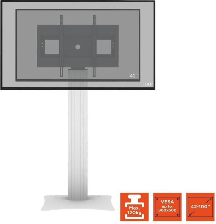 Image du produit Celexon Professional Plus Support d'écran Fixed-42100P (120 kg, 42" - 100")