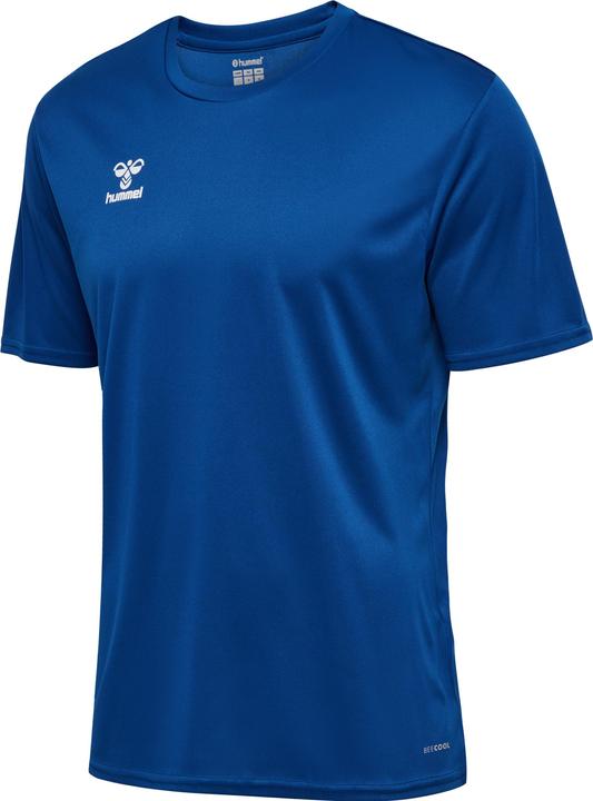 Trueblue