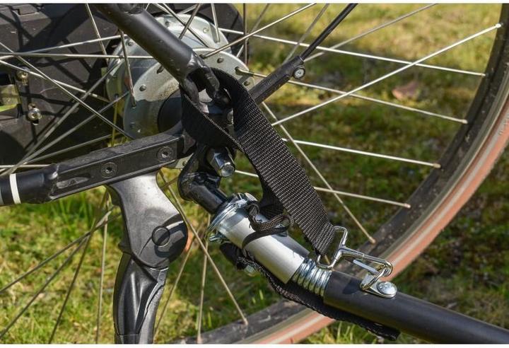 Actual product image 9WS Remorque vlo spcial plage - roues fat bike