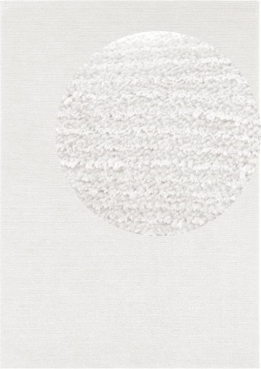Immagine prodotto Hanse Home Supersoft (170 x 120 cm)