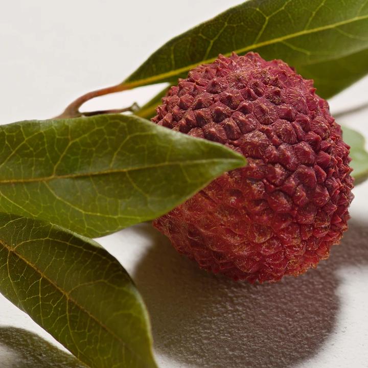 Produktbild Chloé Shower Gel (200 ml)