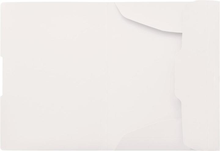 Actual product image Herlitz A4 GREENline Ginkgo folder (A4, 1x)