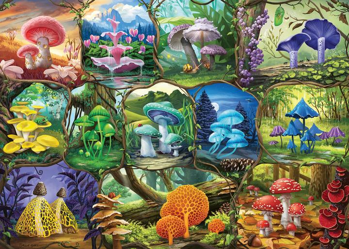 Immagine prodotto Ravensburger Bellissimi funghi (1000 pezzi)