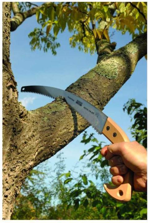 Produktbild Bahco Astsäge mit nachschärfbaren Zahnspitzen und Holzgriff, 6 ZpZ, 14"