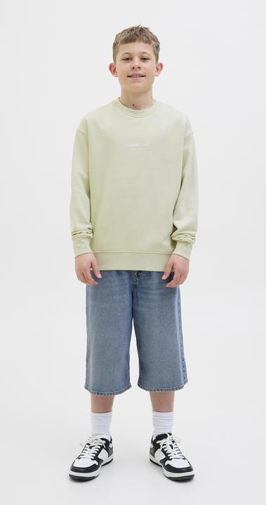 Produktbild Jack & Jones Gedruckt Sweatshirt Junior Sweatshirt (176)