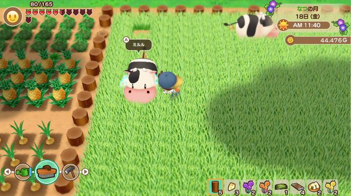 Actual product image Marvelous Story of Seasons: Friends of Mineral Town (Switch, DE)