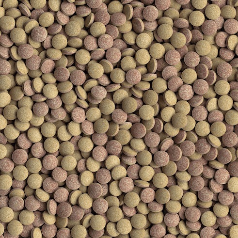 Produktbild Tetra TabiMin 2050 Tabletten (Zierfische)