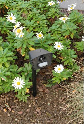 Produktbild Vanish Katzen- / Hundevertreiber