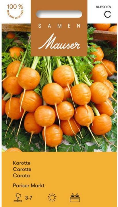 Actual product image Samen Mauser Carrot Paris market (Vegetable seeds)