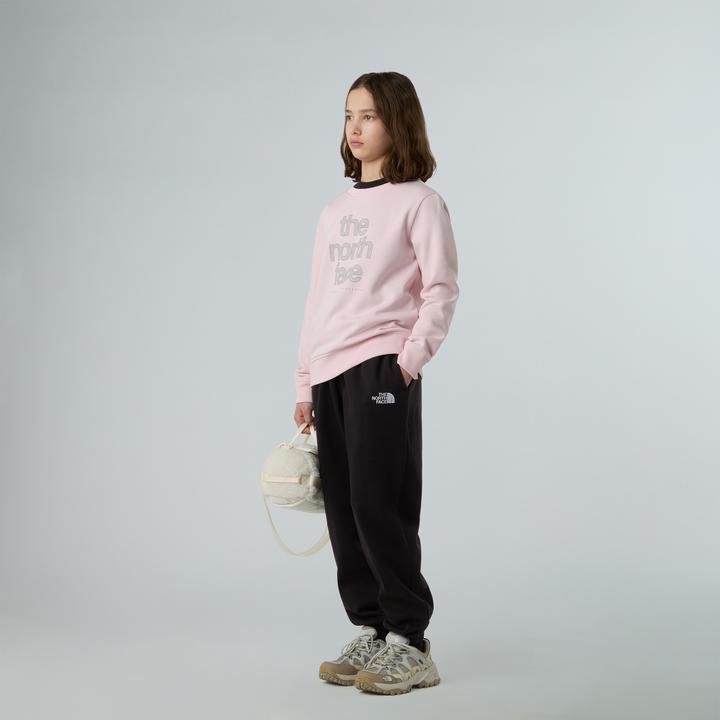 Immagine prodotto North Face Reflective Logo Relaxed Crew (134, 140)