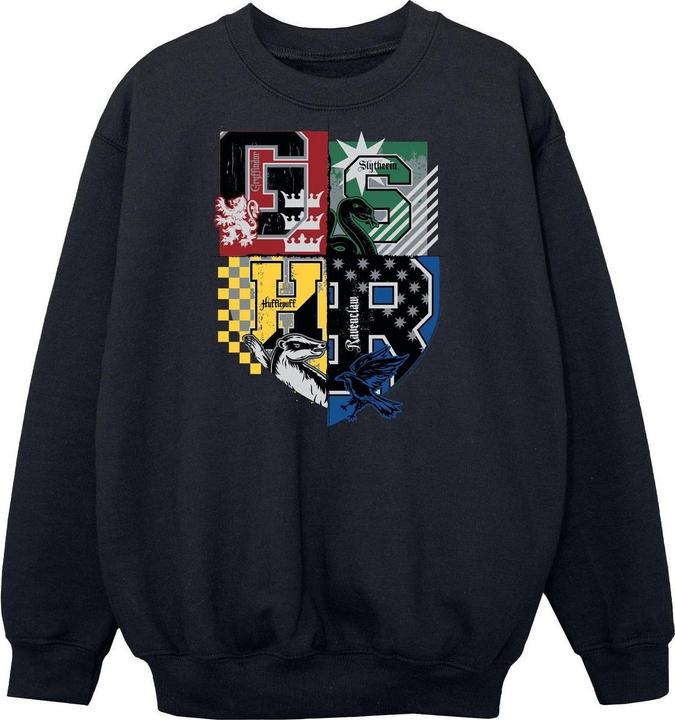 Produktbild Sweatshirt Jungen (116)