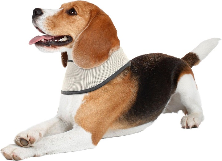 Immagine prodotto Swisspet Sciarpa di raffreddamento (S, Bandana per cani)